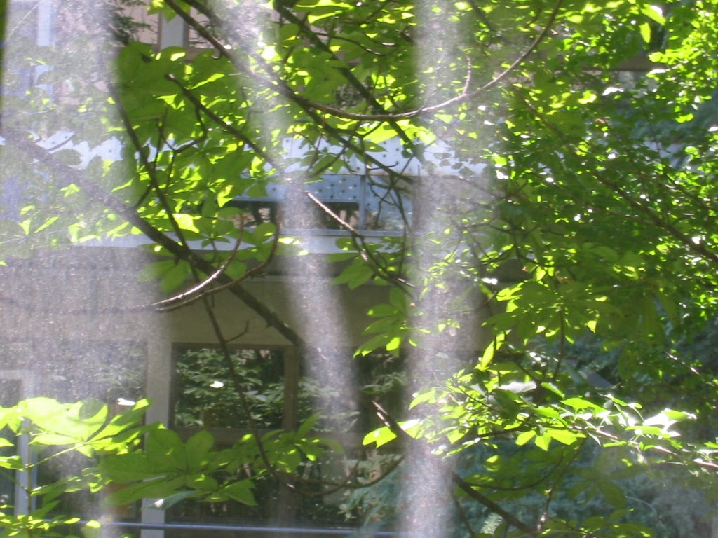 Canon Canon IXY DIGITAL 300a